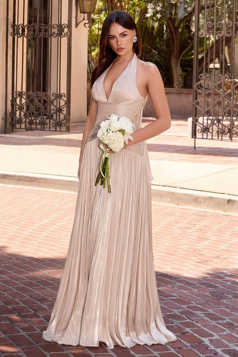 Flowy A-Line Dress With A Deep V-Neck Halter Neckline And Luminous Pleated Chiffon, Corset-Style Back With Laces