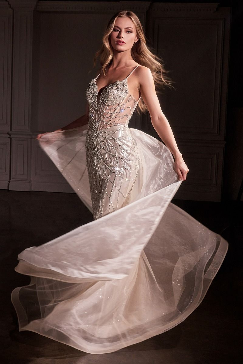 Long Beaded Prom Dress with Removable Overskirt Platinum / 4 Long Beaded Prom Dress with Removable Overskirt Platinum / 4