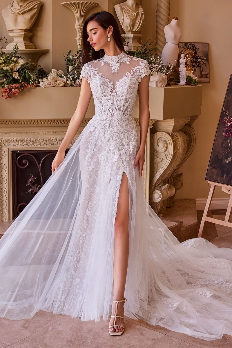 WL035-Lace & Tulle Short Sleeve Wedding Gown-Andrea & Leo | LADY Black TIE Off White / 12 WL035-Lace & Tulle Short Sleeve Wedding Gown-Andrea & Leo | LADY Black TIE Off White / 12