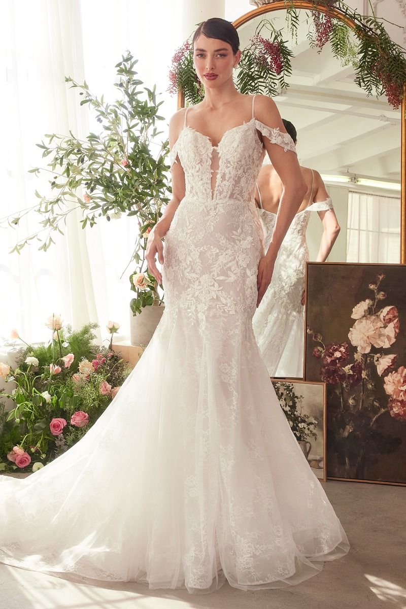 Fitted Lace Mermaid Wedding Dress Tux-USA Fitted Lace Mermaid Wedding Dress Tux-USA