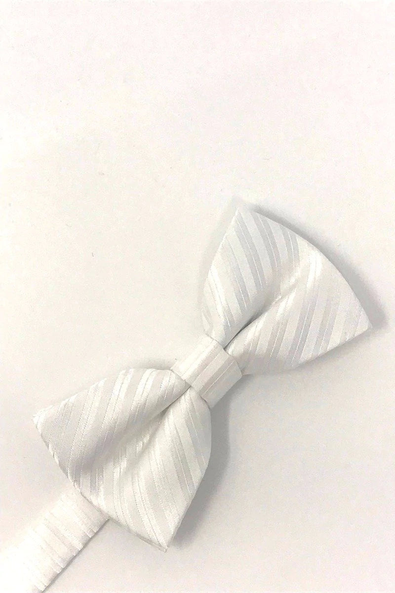 Newton Stripe Kids Bow Tie