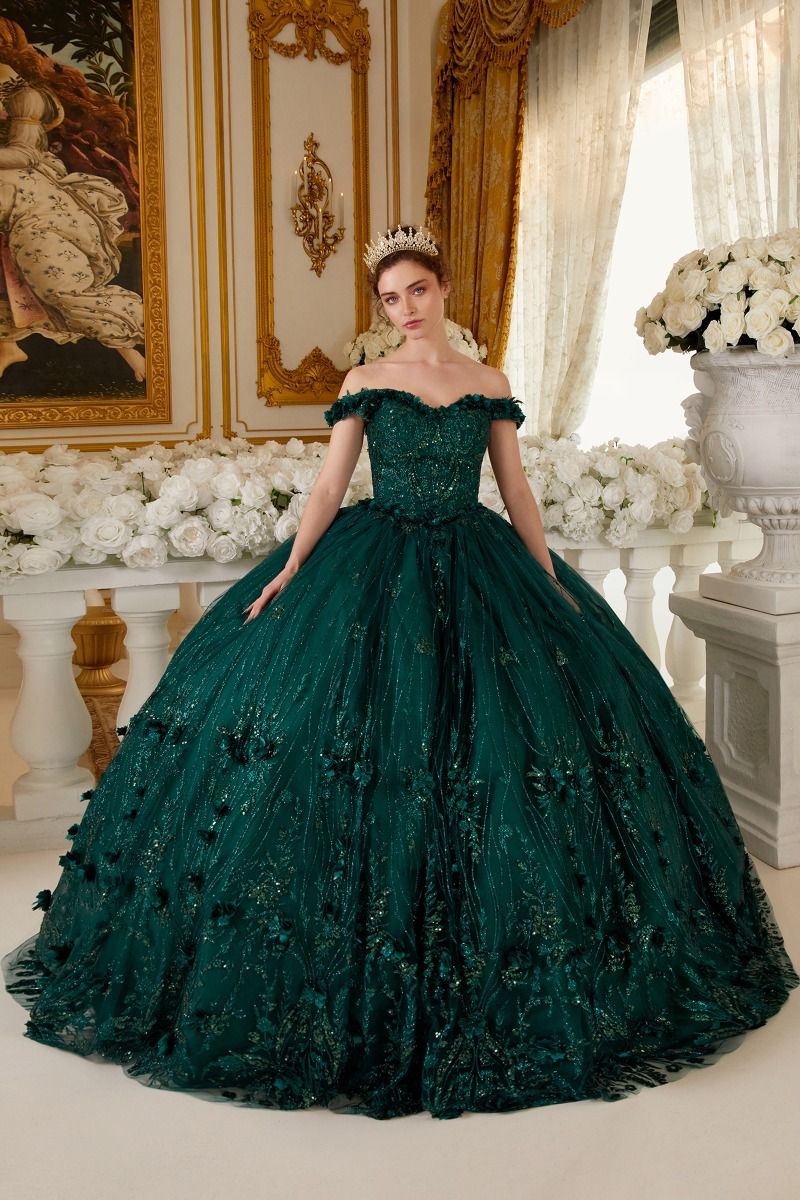 Off The Shoulder Quinceanera Floral Ball Gown