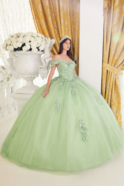 Lace Off The Shoulder Layered Tulle Ball Gown