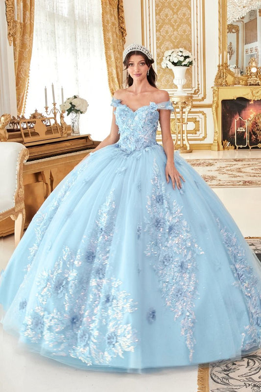 Off the Shoulder Floral Appliqued Ball Gown