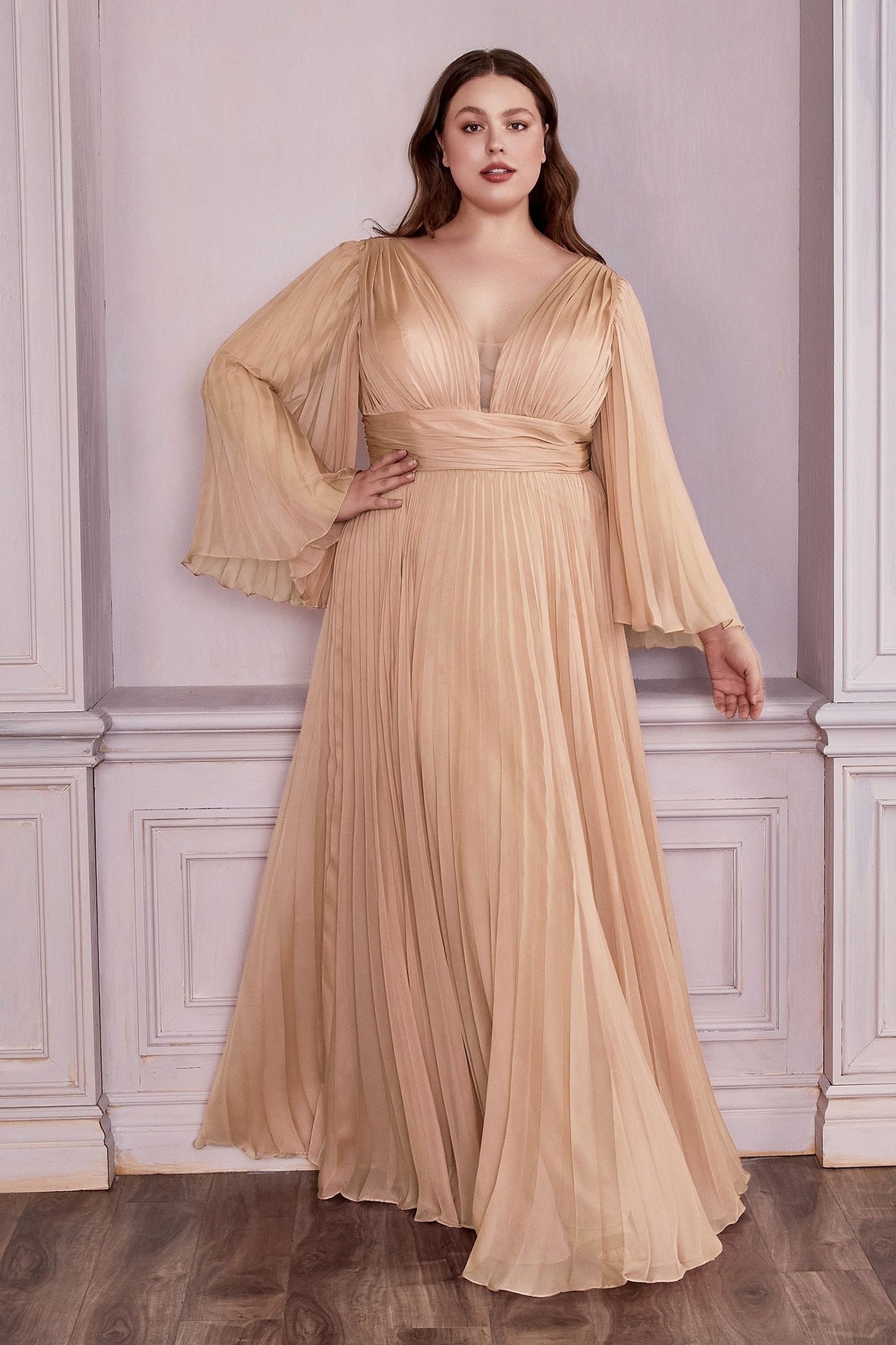 Long Sleeve Chiffon Gown