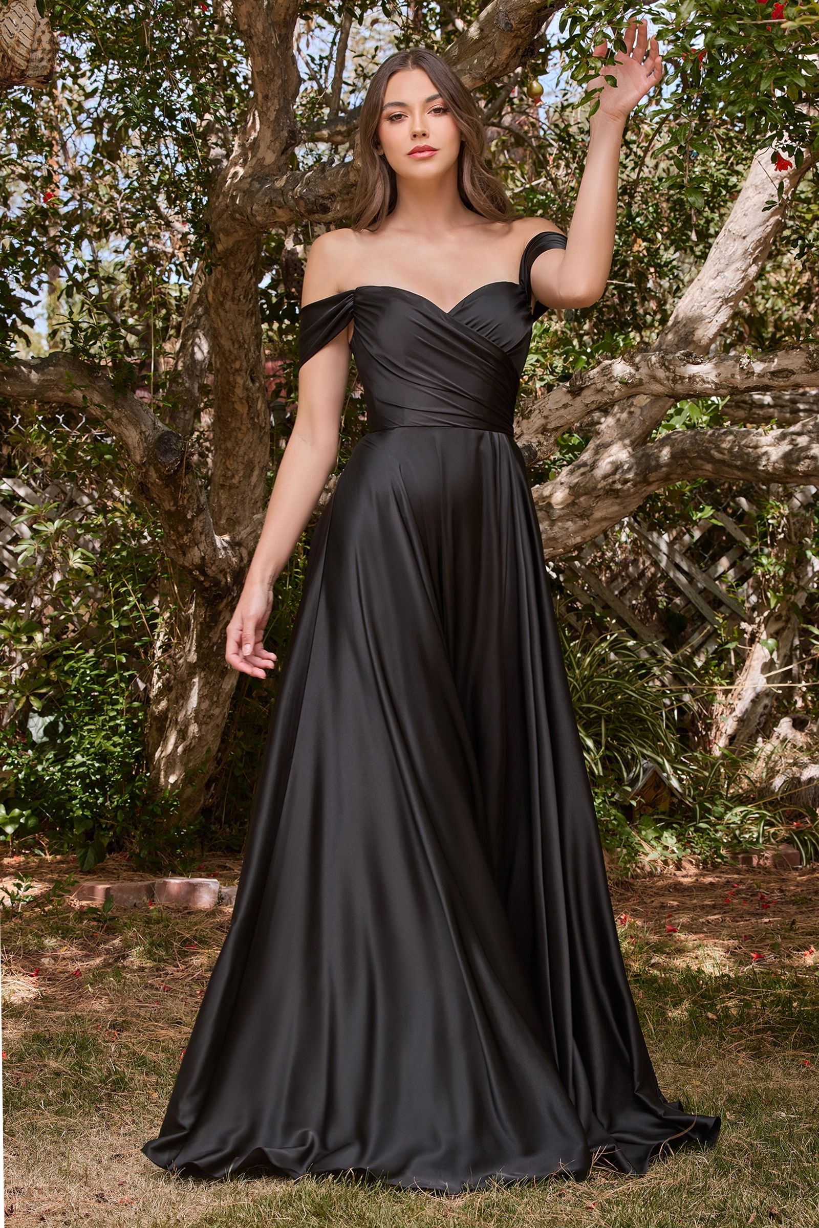 Satin A-Line Off The Shoulder Dress Curve