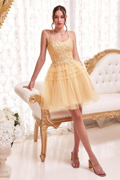 Pleated A-Line Short Dress