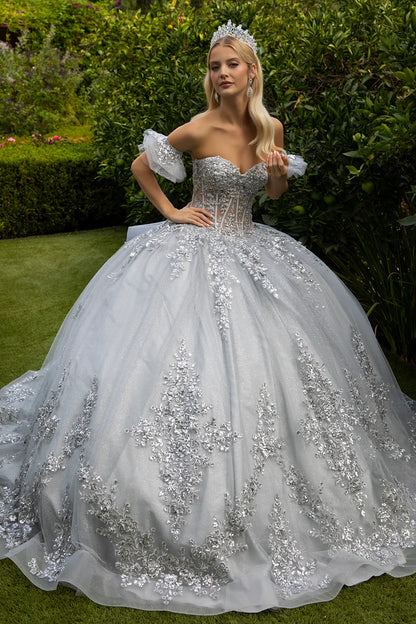 Embroidery Embellished Glitter Mesh Quinceanera Dress W Detachable Bow