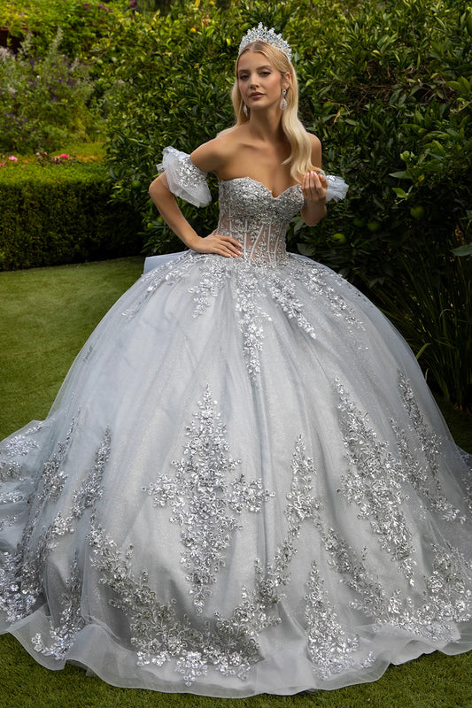 Embroidery Embellished Glitter Mesh Quinceanera Dress W Detachable Bow