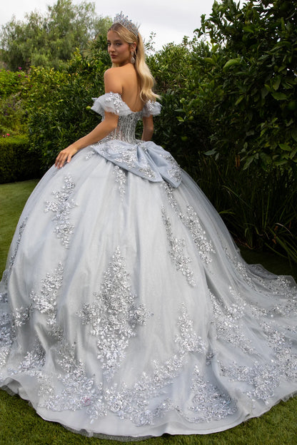 Embroidery Embellished Glitter Mesh Quinceanera Dress W Detachable Bow