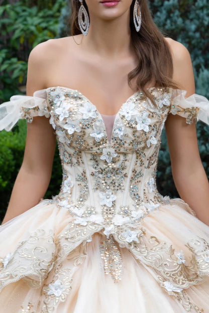 3d Flower Accented Metallic Embroidery Glitter Mesh Quinceanera Dress