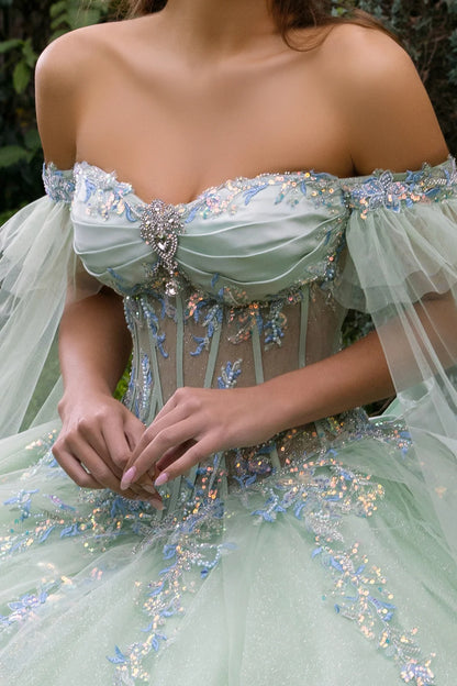 Cape Sleeve Embellished Dress With Back Ruffle And Detachable Back Bow