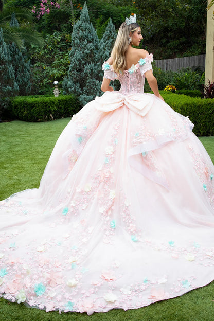 3d Flower Applique Embellished Train Dress With Waist Ruffle Detachable Back Bow