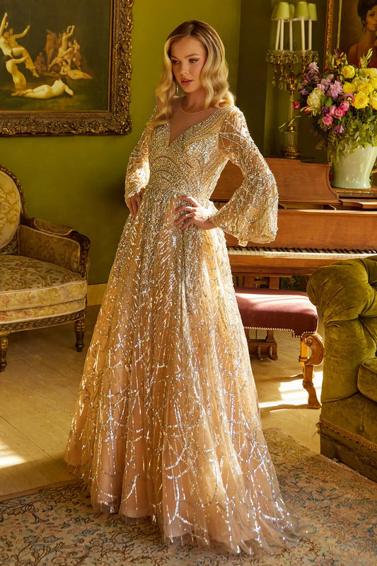Embellished Illusion V Neck Dress With Bell Sleeve