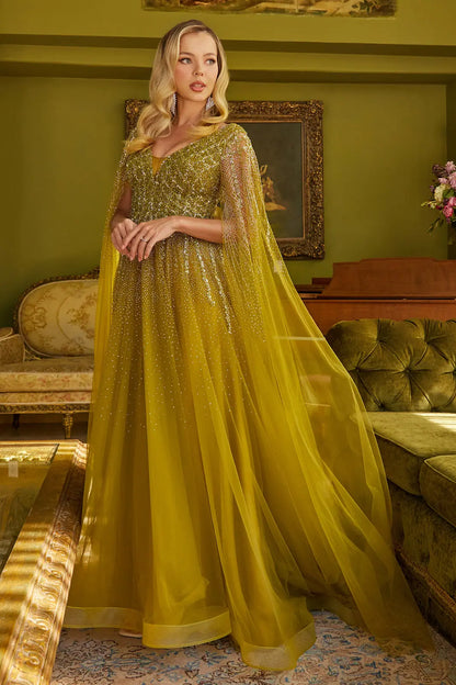 Sparkle Beads Embellished Bodice V Neck Mesh Gown With Mesh Cape Sleeve