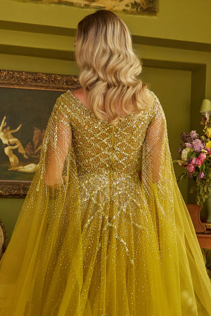 Sparkle Beads Embellished Bodice V Neck Mesh Gown With Mesh Cape Sleeve
