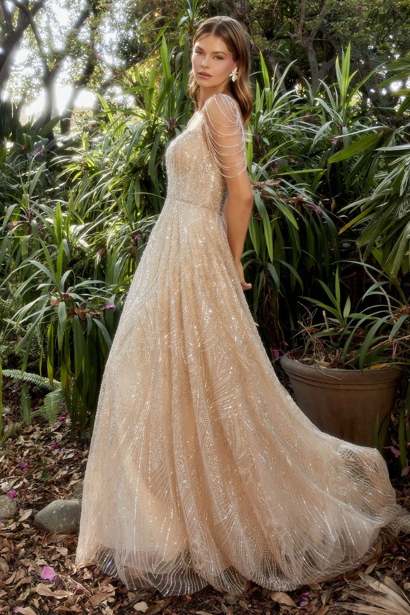 Champagne 2025 beaded gown