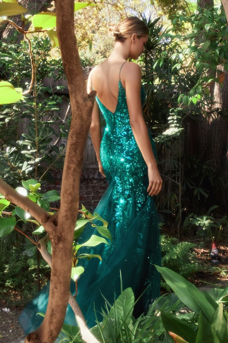 Fitted Mermaid Gown With Beaded Lace Applique