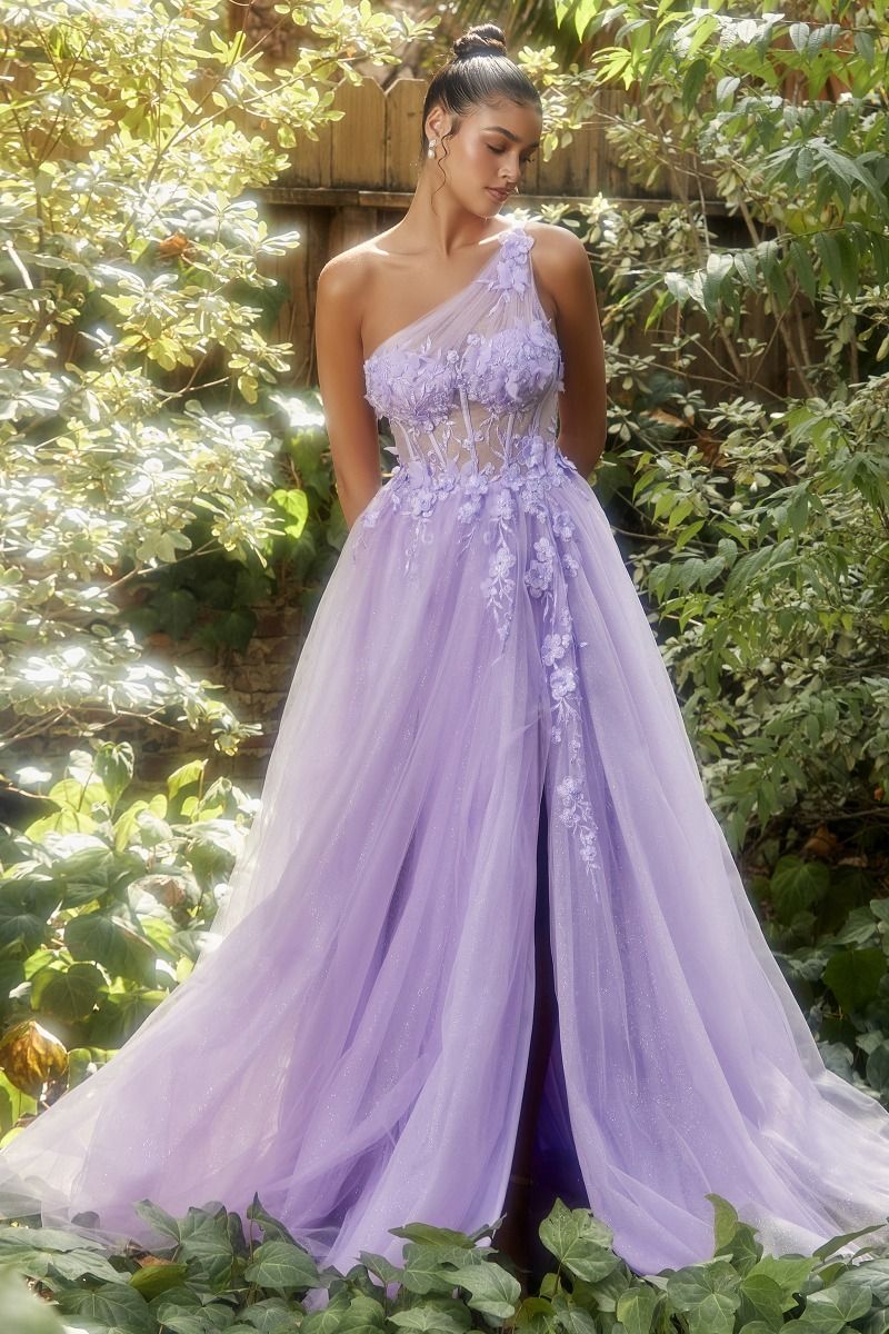 One Shoulder Lace Applique Tulle Gown