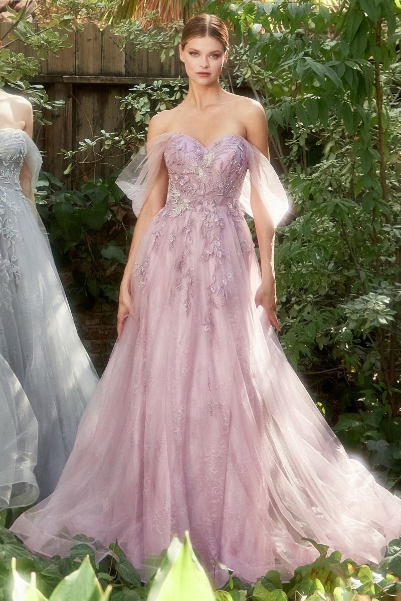 Off The Shoulder Birds Of Romance A-Line Tulle Gown