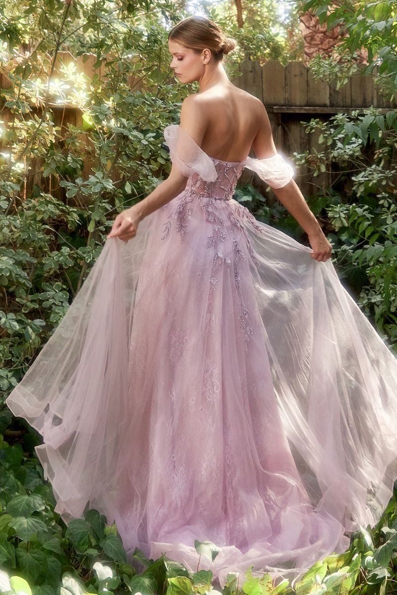 Off The Shoulder Birds Of Romance A-Line Tulle Gown
