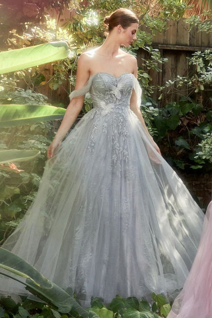 Off The Shoulder Birds Of Romance A-Line Tulle Gown