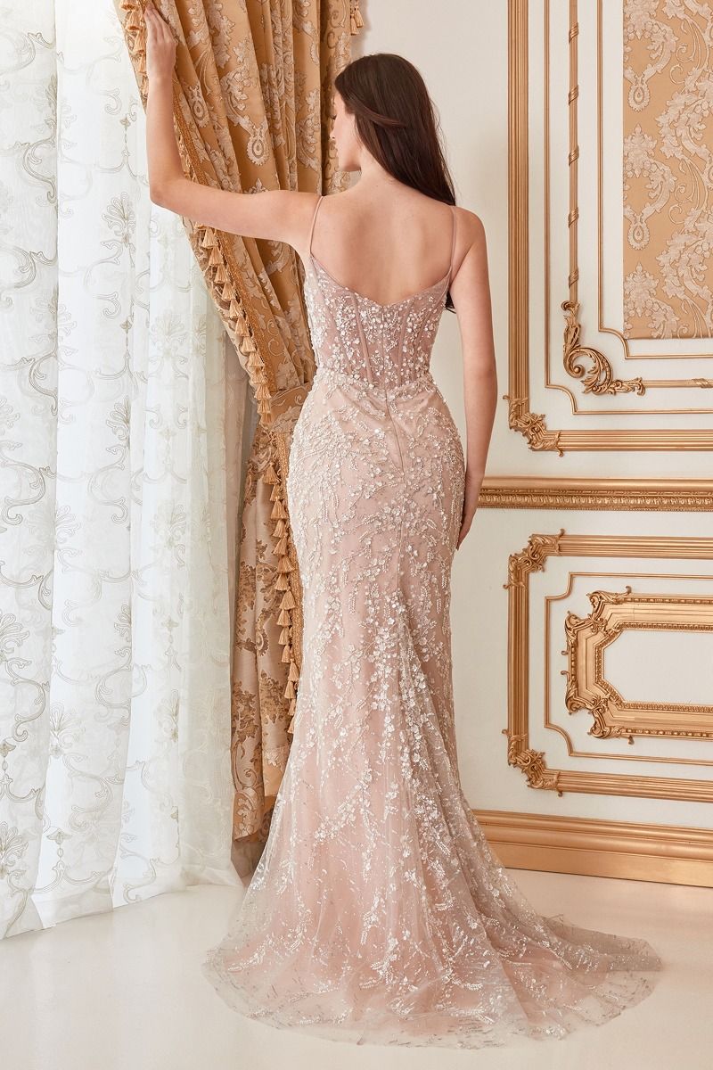Fitted Embellished Nude Gown