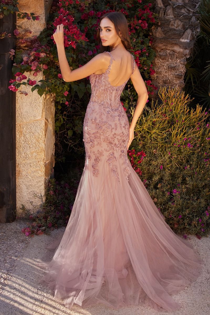 Lace & Tulle Mermaid Gown