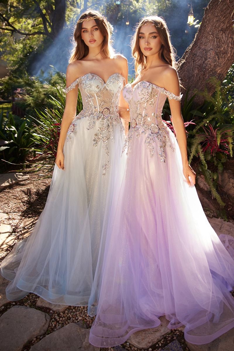 Embellished A-Line Tulle Ball Gown