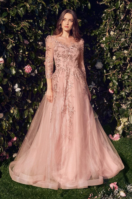 Three Quarter Sleeve Lace & Tulle Ball Gown