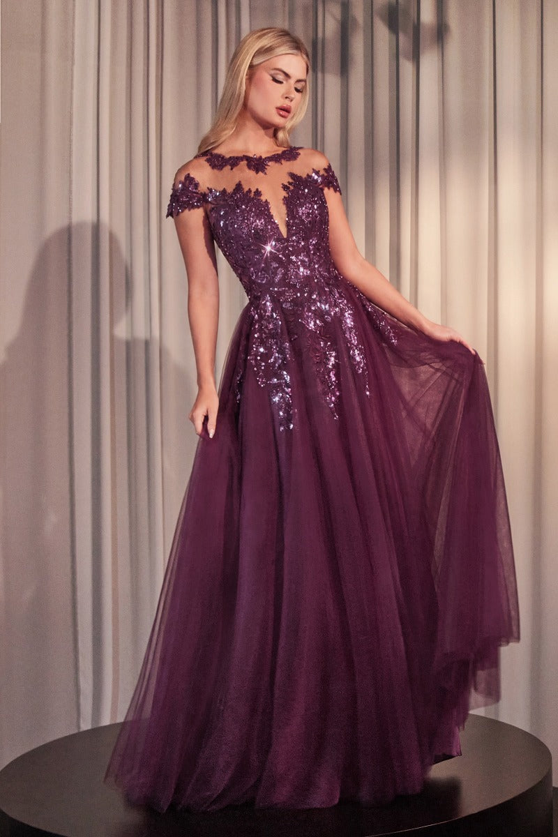 Elegant A-Line Floral Appliqué Tulle Gown With Illusion Neckline & Cap Sleeves