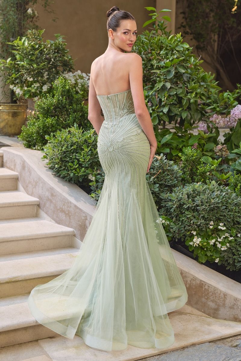 Strapless Tulle With Layered Mesh Train