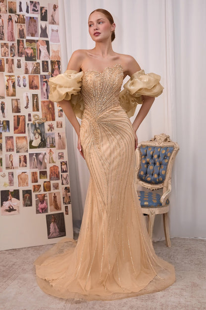 Strapless Beaded Gown With Organza Ruffle Shawl