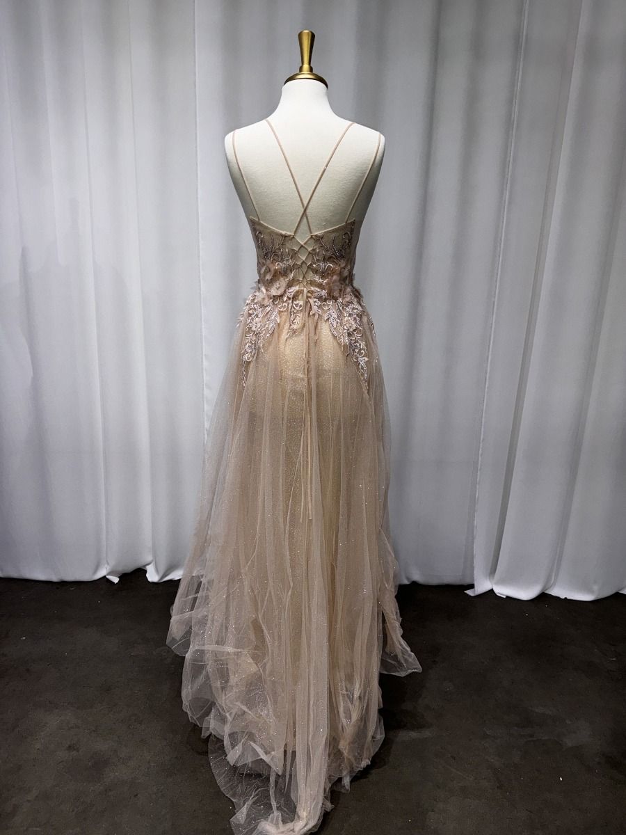 Nude A-Line Tulle Gown