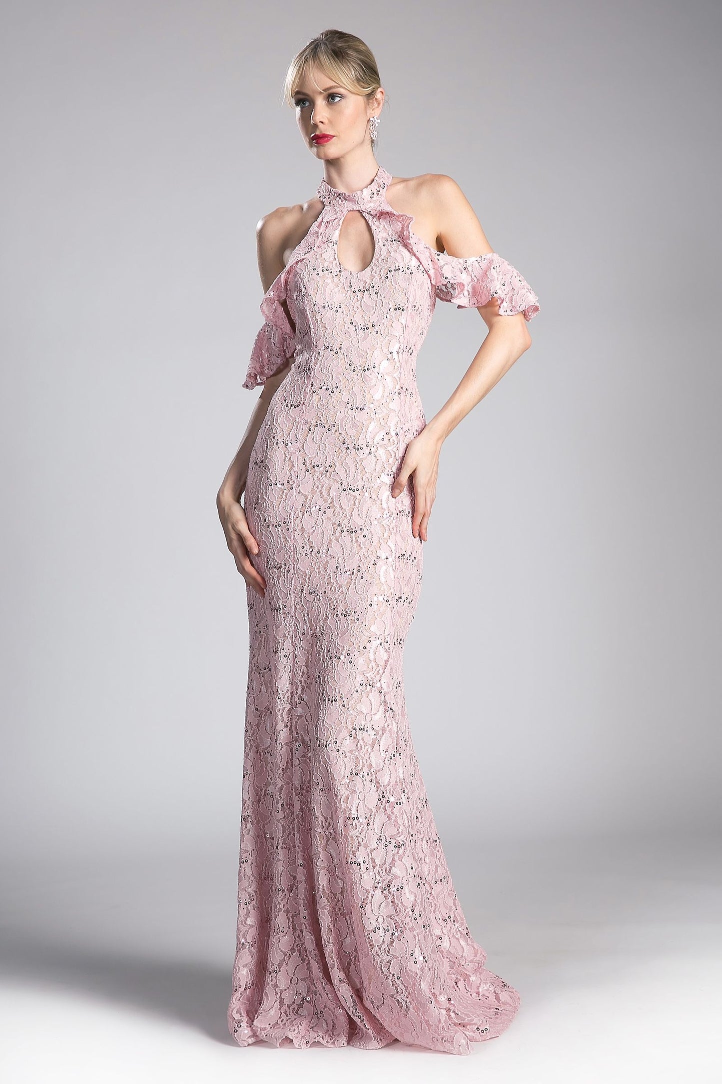 Sequin Lace Sheath Dress