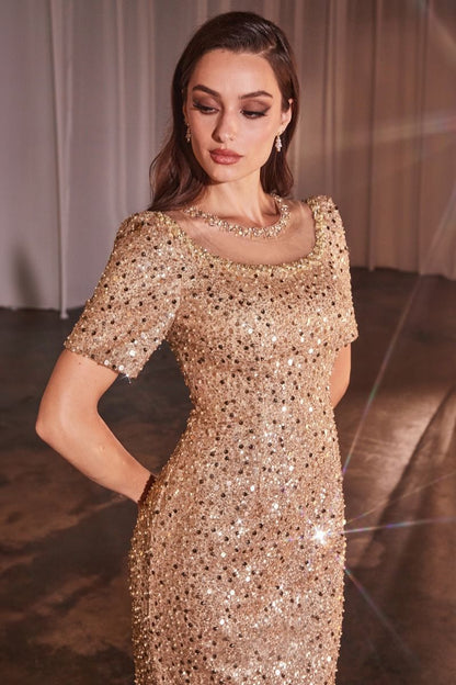 Cap Sleeve Fitted Sequin Gown