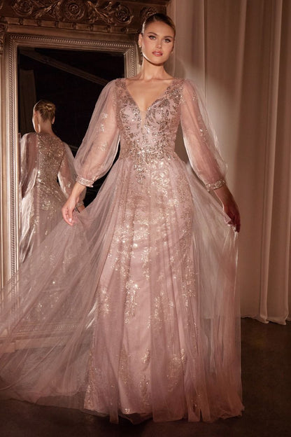 Long Sleeve Layered Tulle A-Line Gown