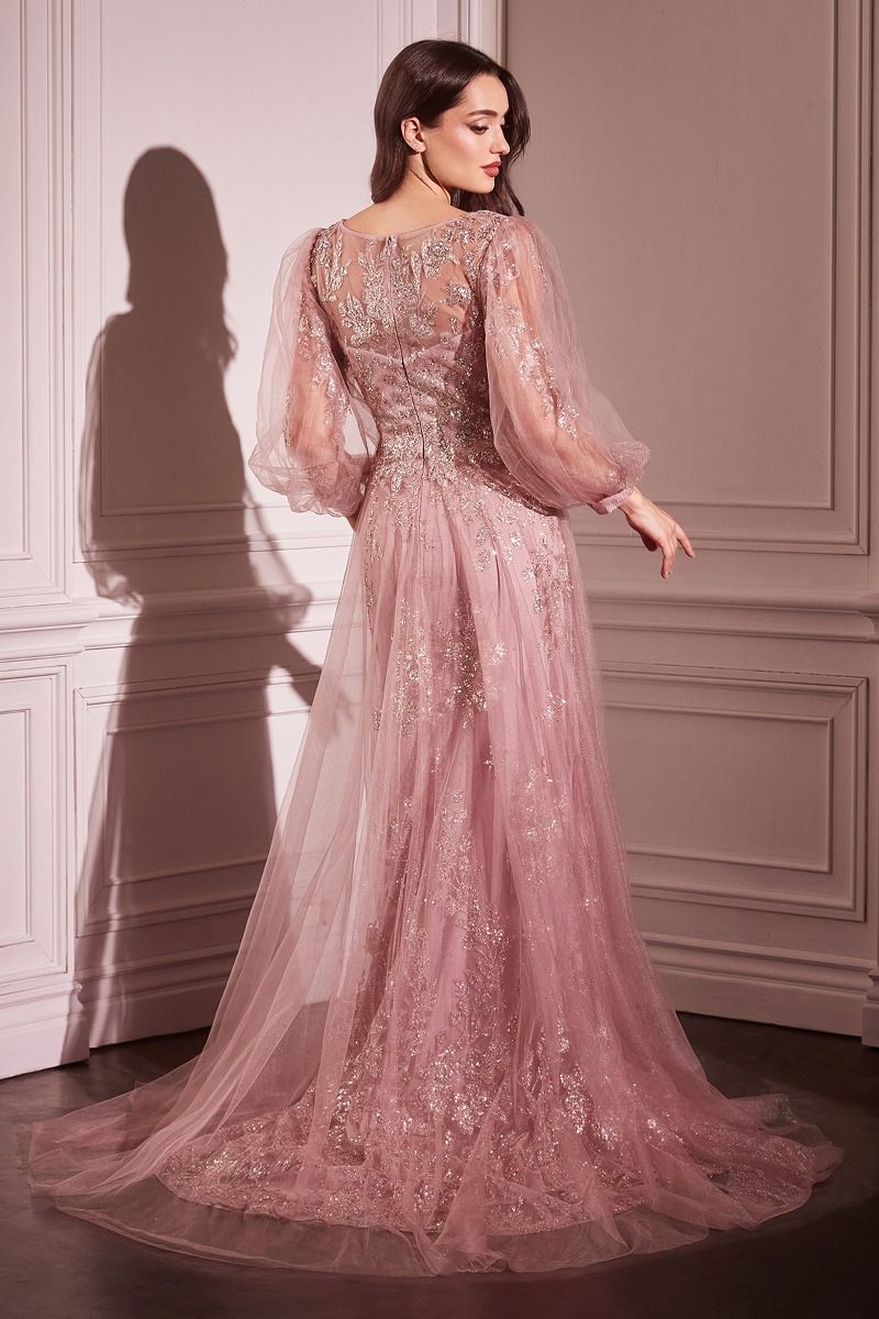 Long Sleeve Layered Tulle A-Line Gown