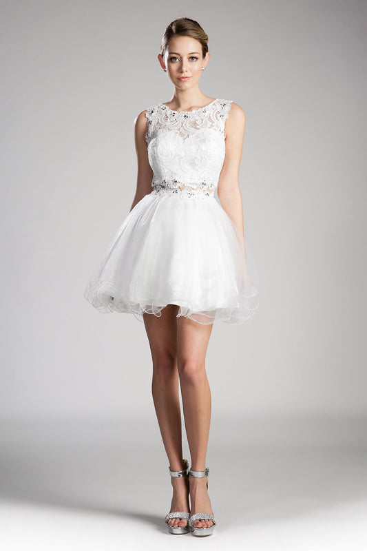 A-line short dress with high lace neckline and layered skirt.