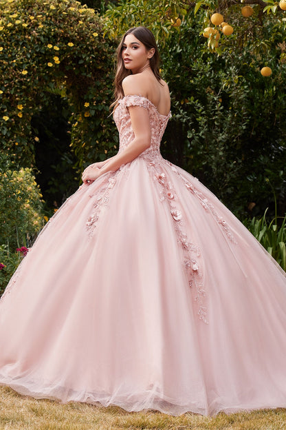 Off The Shoulder Layered Tulle Ball Gown