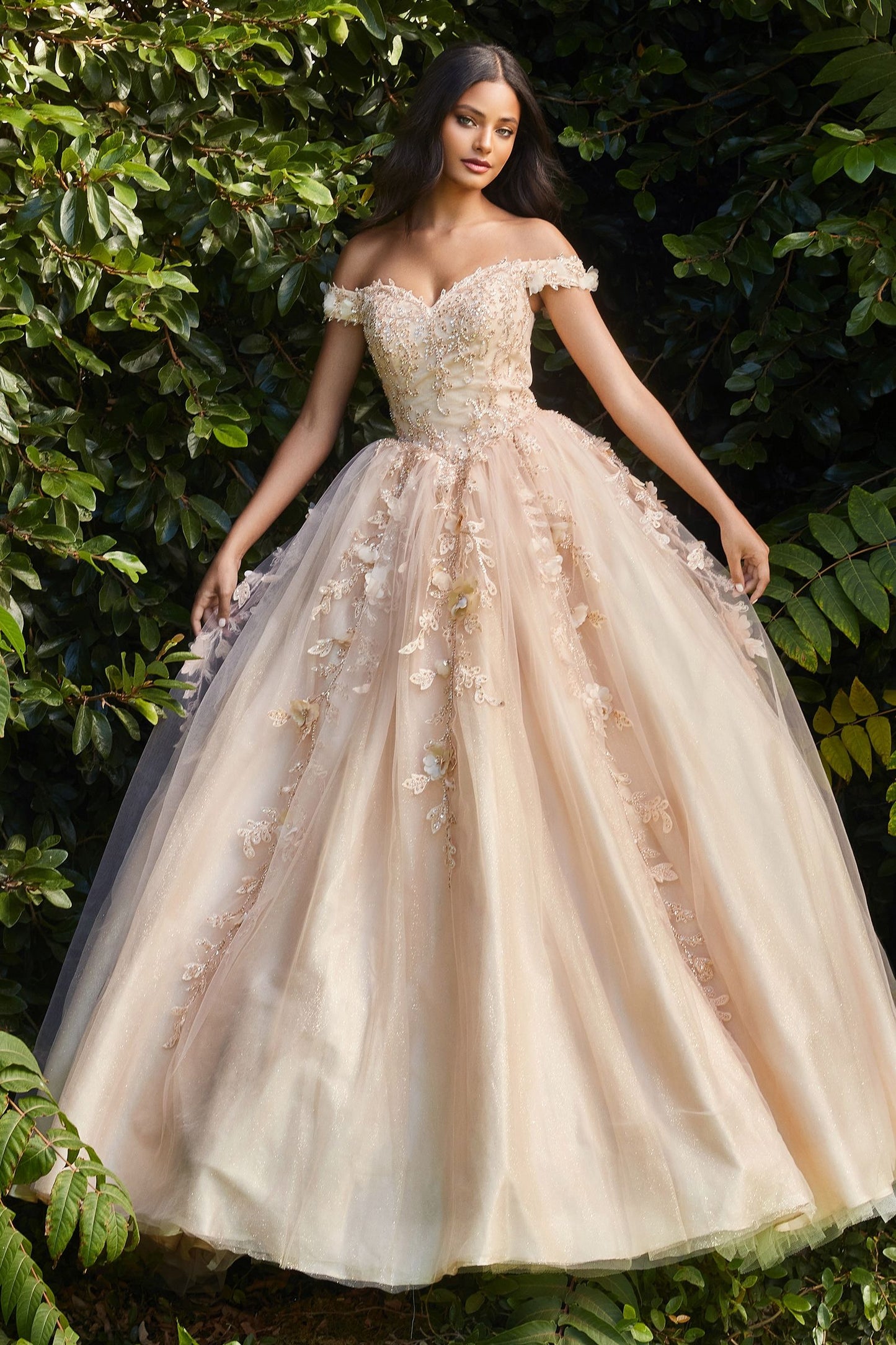 Off The Shoulder Layered Tulle Ball Gown