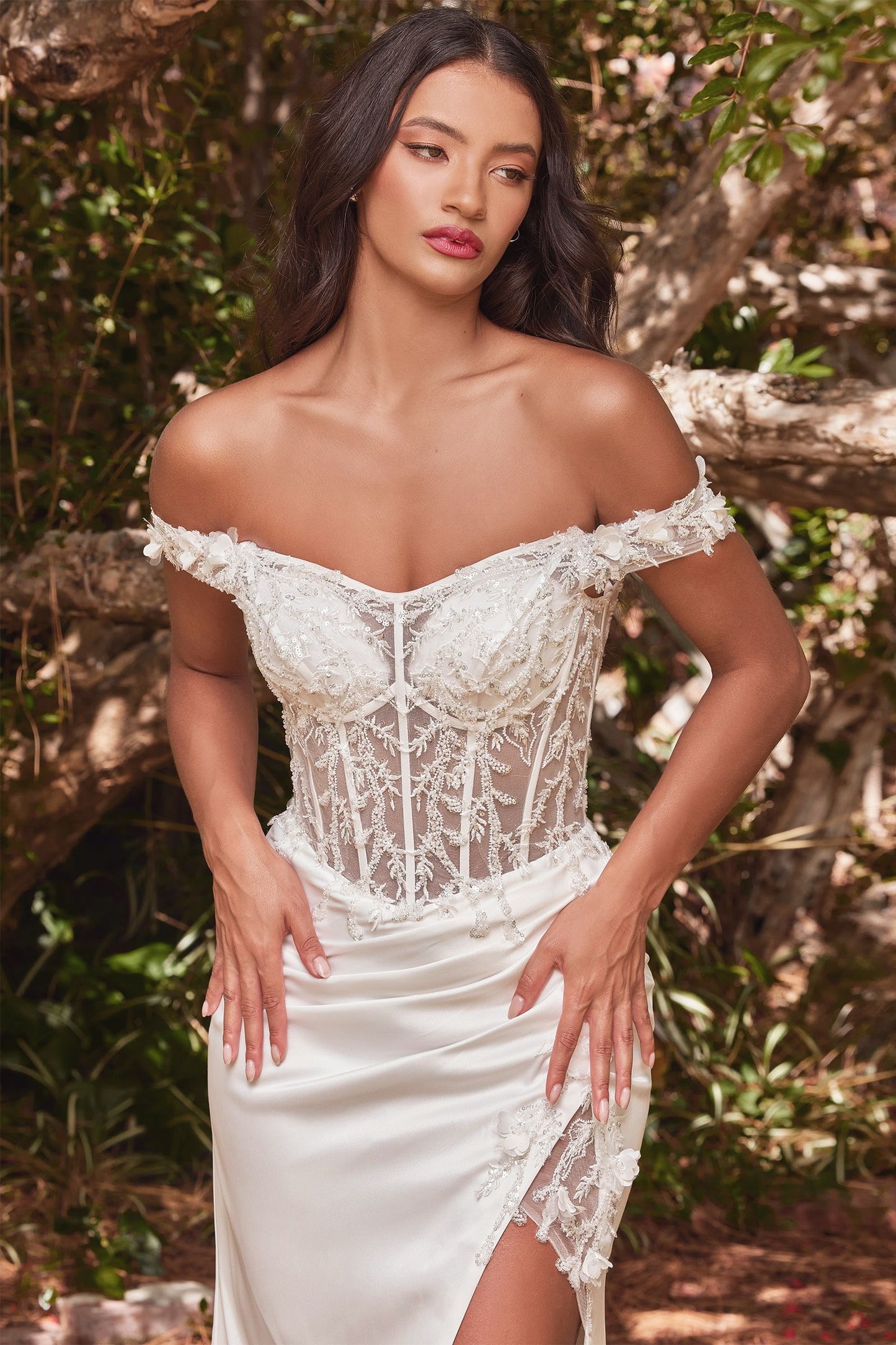 Off The Shoulder Lace Bodice Fitted Gown