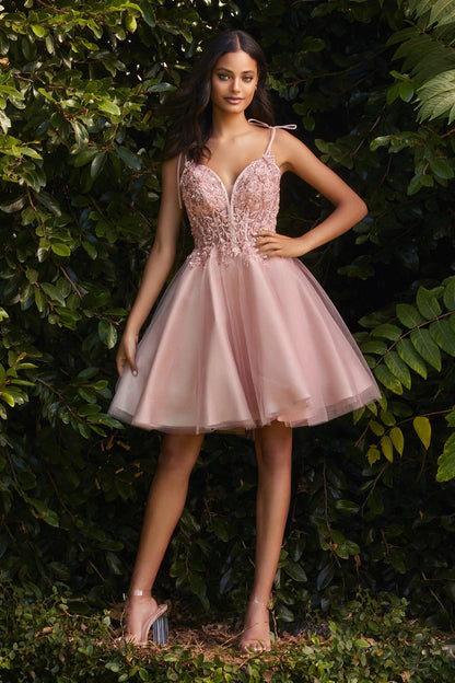 Short Tulle And Lace Dress