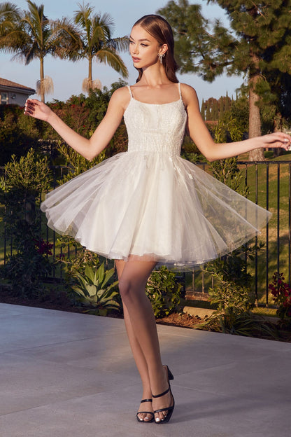 Layered Tulle A-Line Short Dress