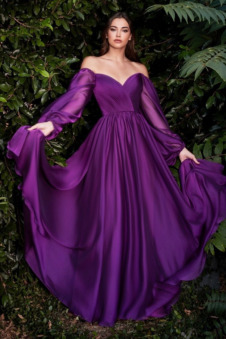 Long Sleeve Chiffon A-Line Dress