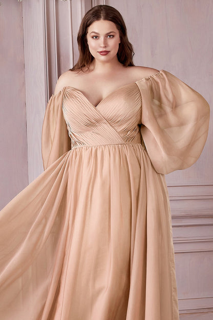 Long Sleeve A-Line Chiffon Dress