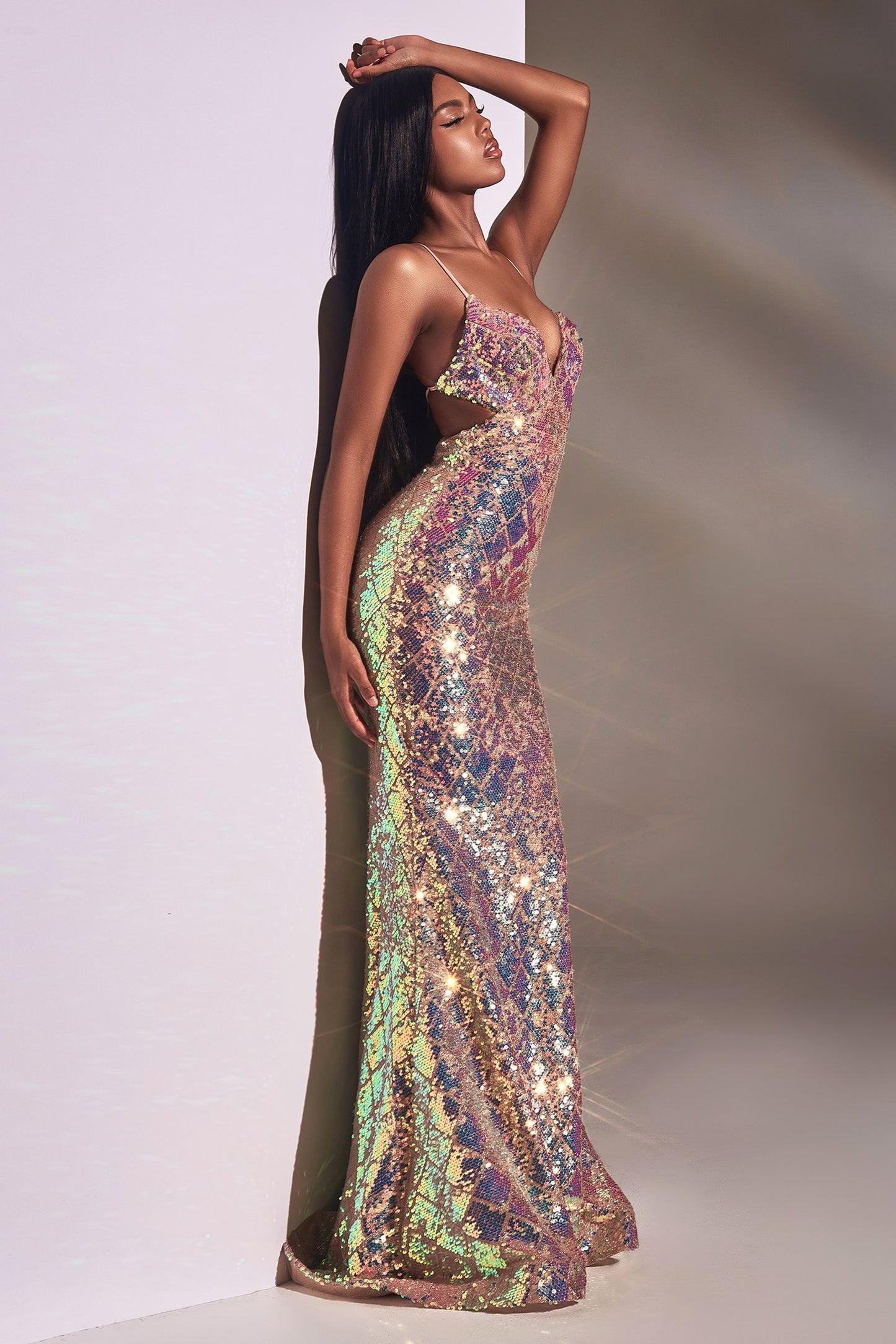 Fitted Irridecent Sequin Gown