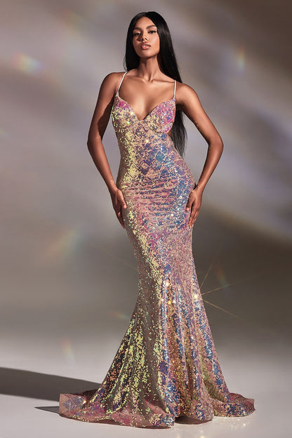 Fitted Irridecent Sequin Gown