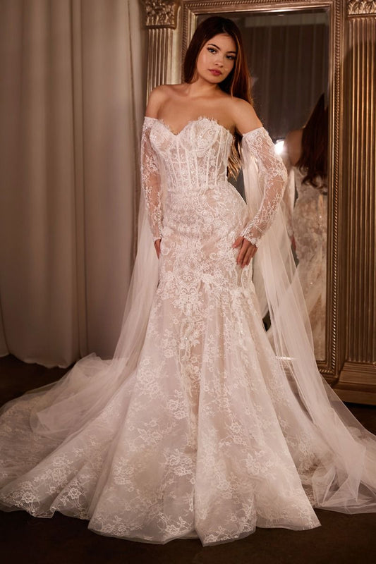 Fitted Lace Mermaid Gown With Sleeves