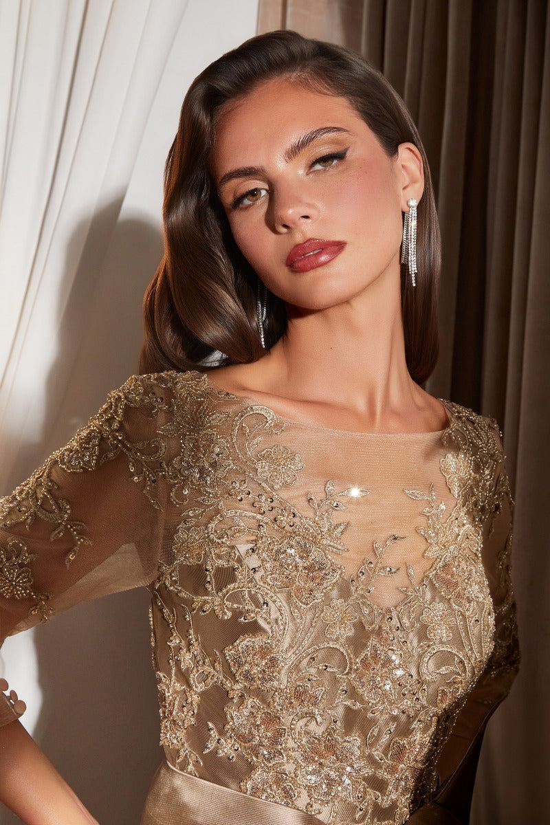 Lace Long Sleeve Mother Of The Bride Ball Gown